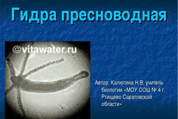 Не могу зайти в кракен
