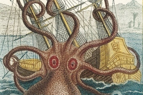 Kraken зеркала kr2web in