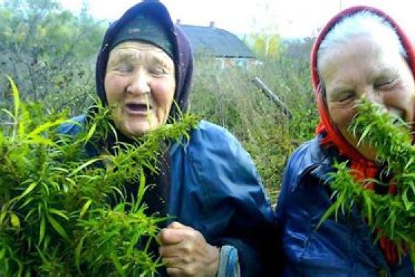 Кракен маркетплейс про