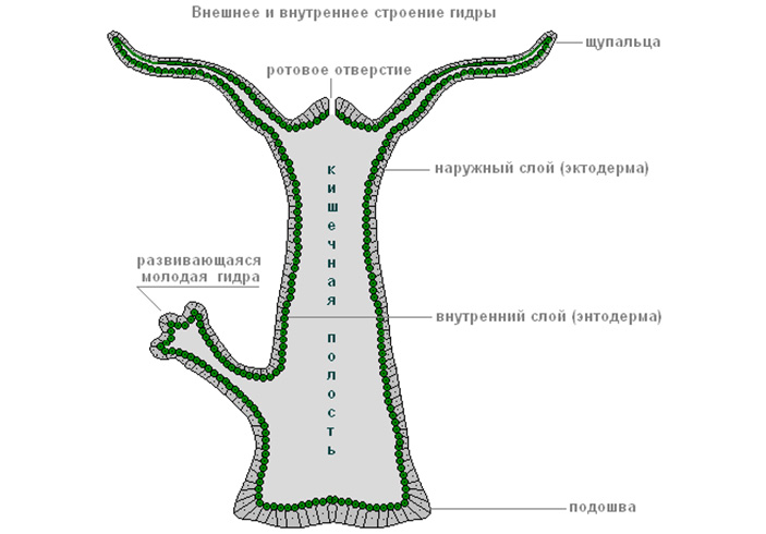 Ссылка на кракен даркнет