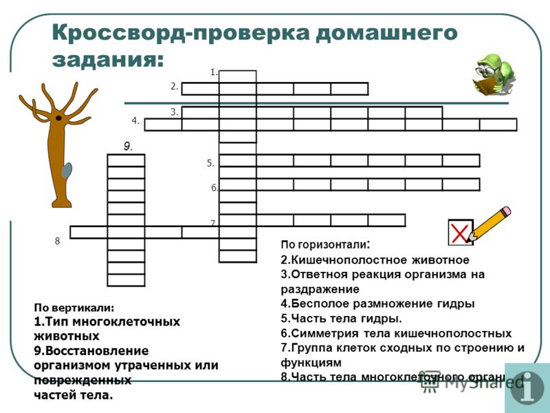 Мега кракен блэк спрут